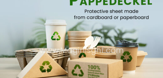 Pappedeckel: The Essential Guide to Cardboard Lids and Covers