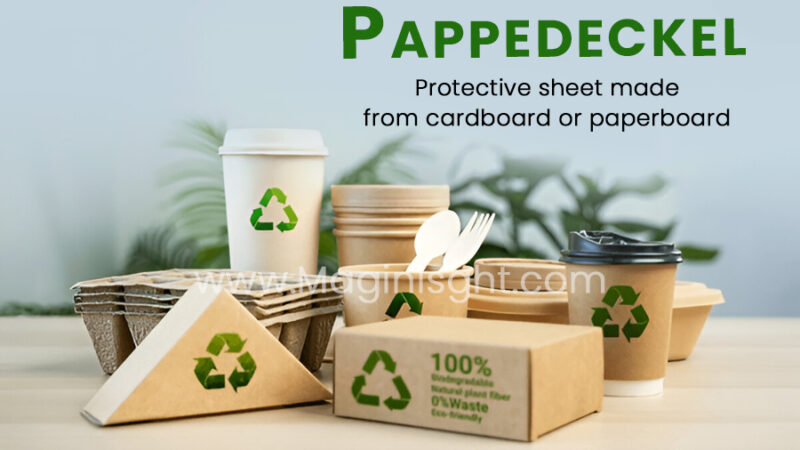 Pappedeckel: The Essential Guide to Cardboard Lids and Covers