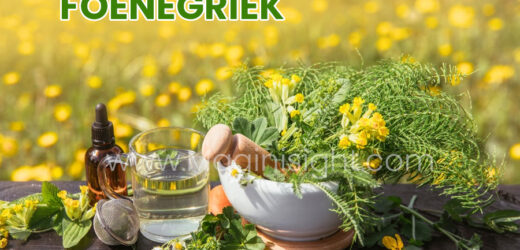 Foenegriek Super Herb: Boost Your Health, Hormones, and Energy Naturally