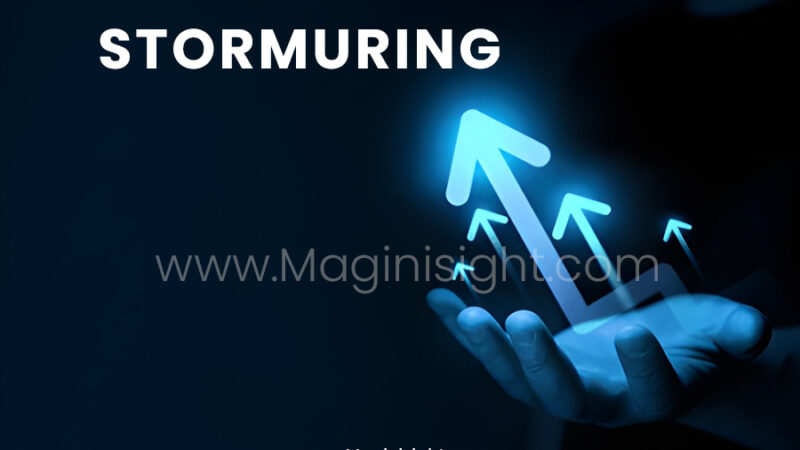 Stormuring: How Disruption Drives Digital Maturity in Business